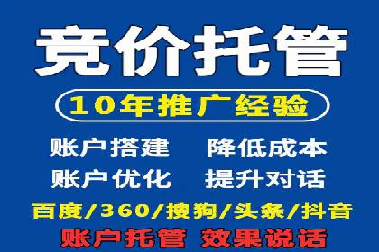 SEM托管服务，成功案例深度分析